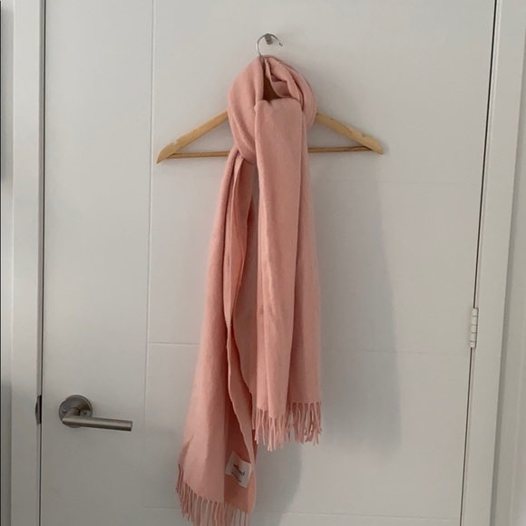 NWOT WILFRED (Aritzia) Classic Wool Scarf - Picture 3 of 4